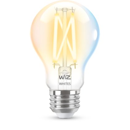 Close up of front of Filament Bulb Clear 60W A19 E26